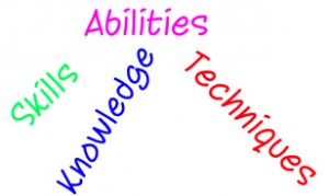 SBT Skills